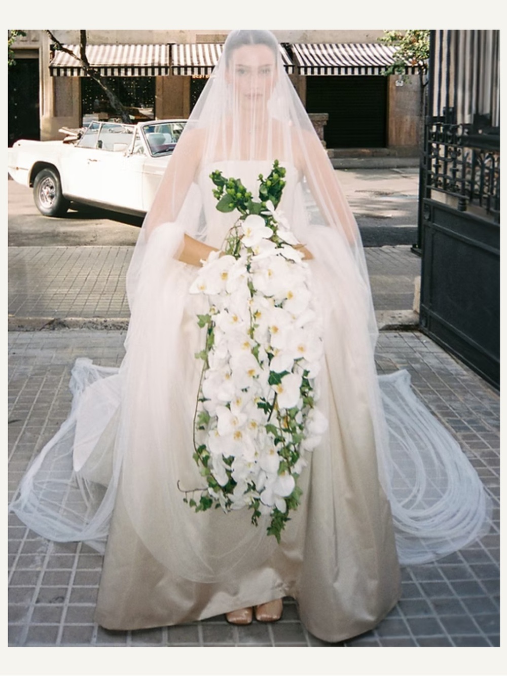 Avec Amour Cathedral Veil with floor length blusher